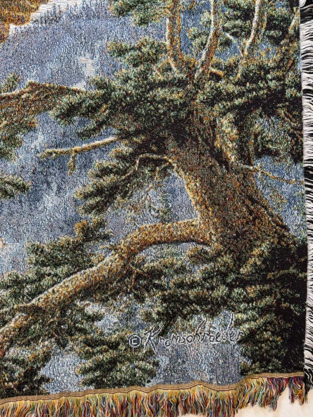 Kromschroeder Alpenglow Bald Eagle Tapestry Throw Blanket Wildlife Farmhouse